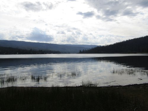 Tuolome Meadow 